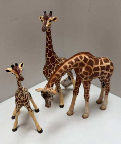 Familie Giraffe
