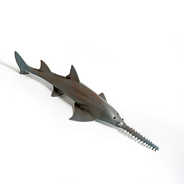 Sägefisch