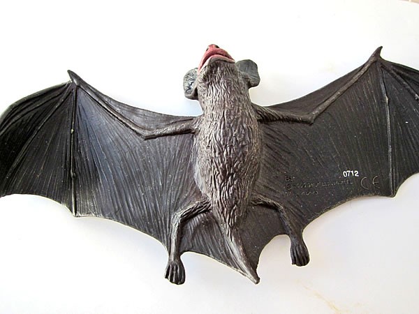 Fledermaus
