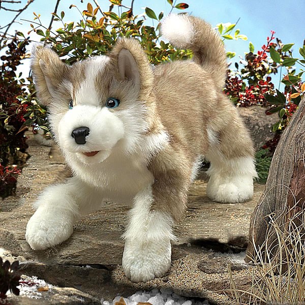 Wolfsjunges