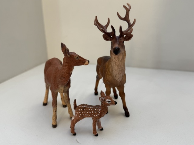 Familie Rotwild