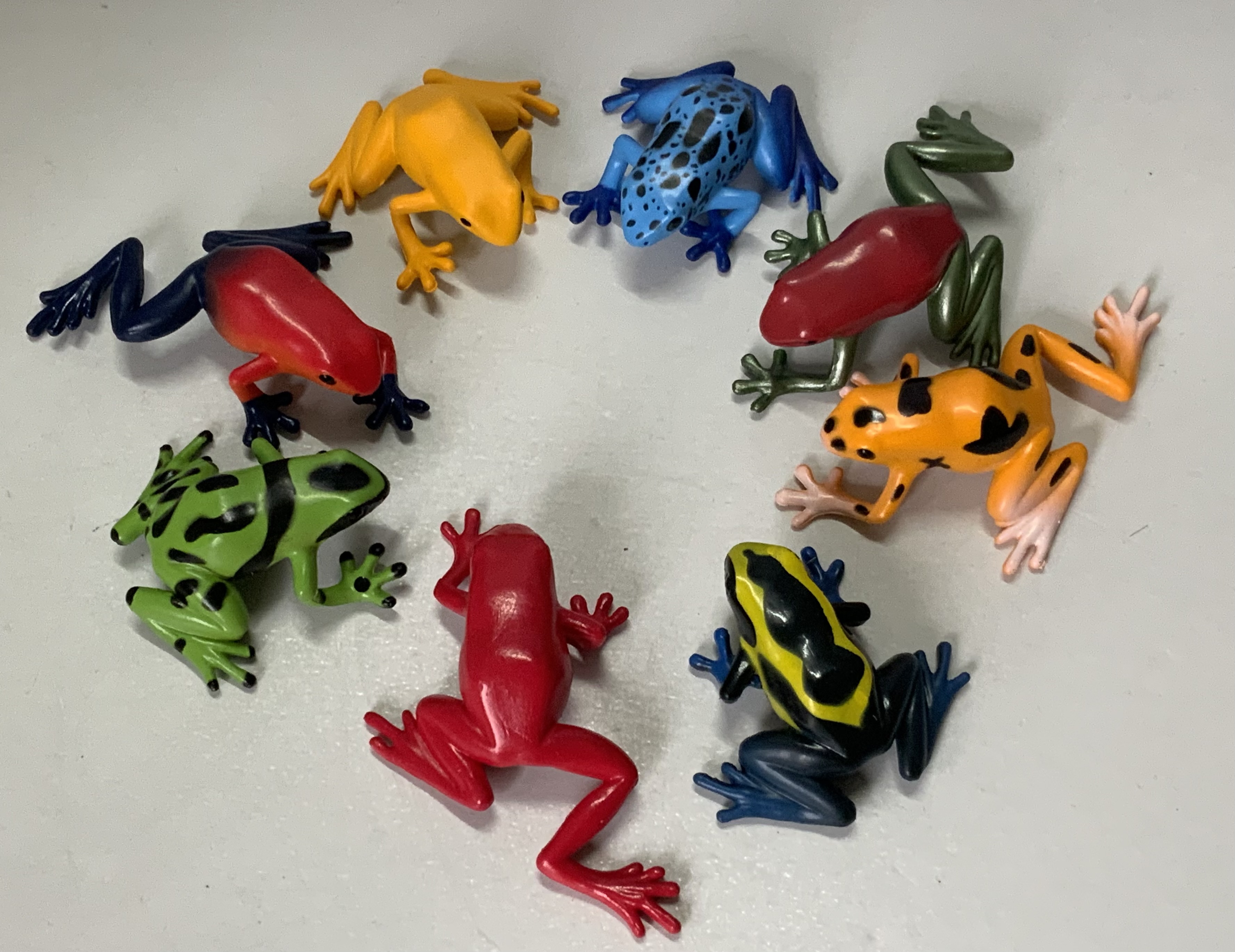 Giftige Frösche