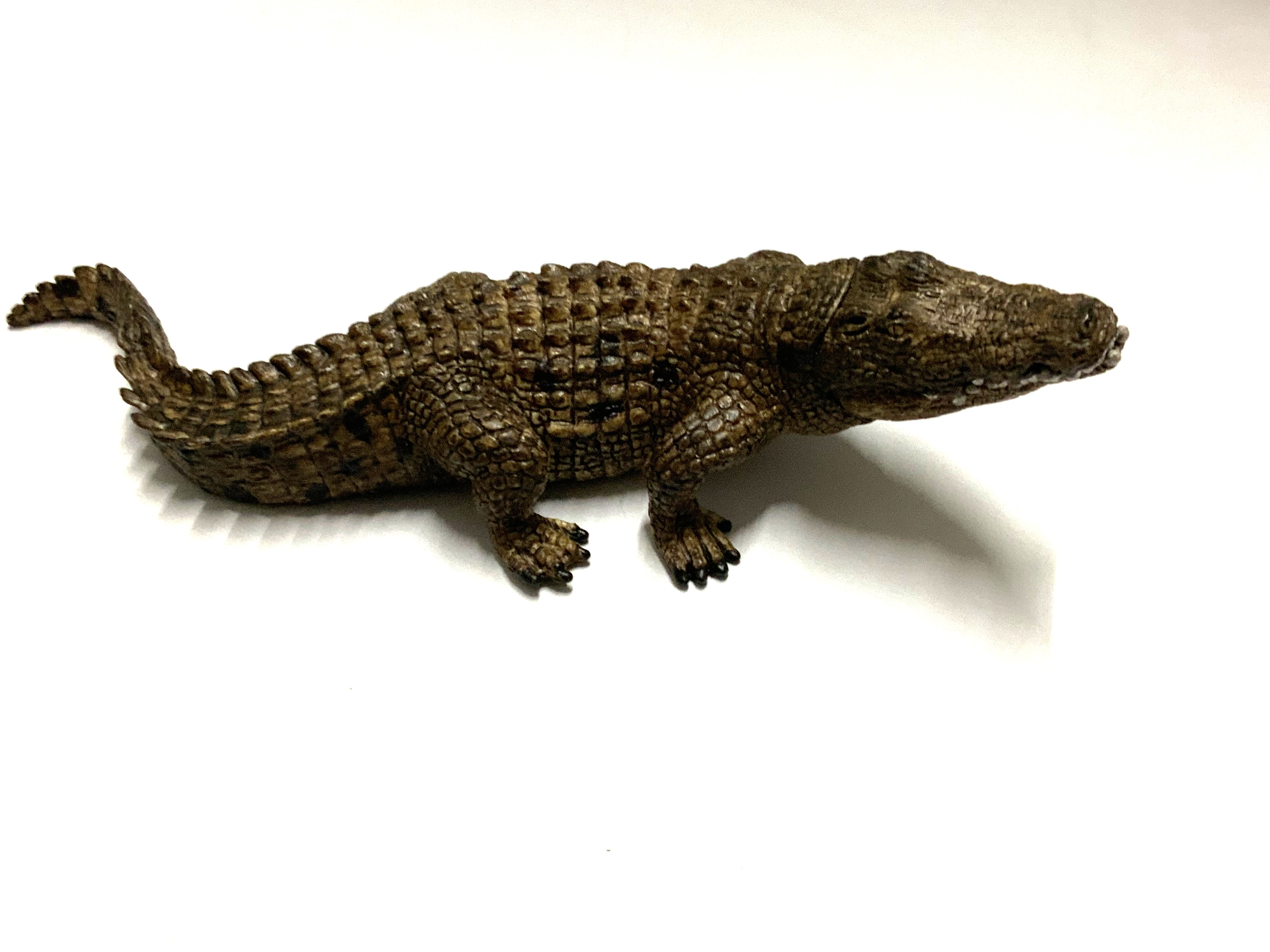 Krokodil