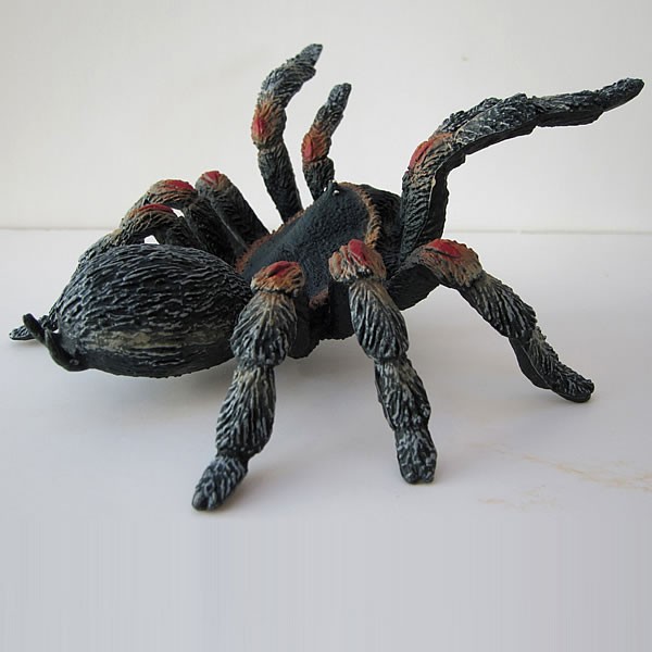 Vogelspinne