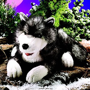Polarwolf