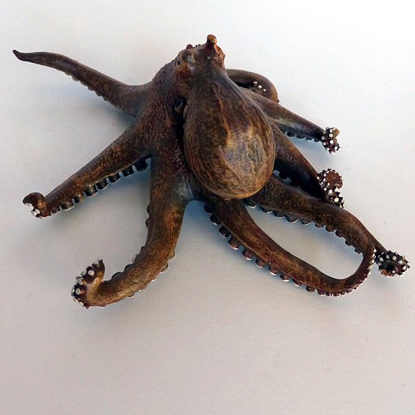 Krake